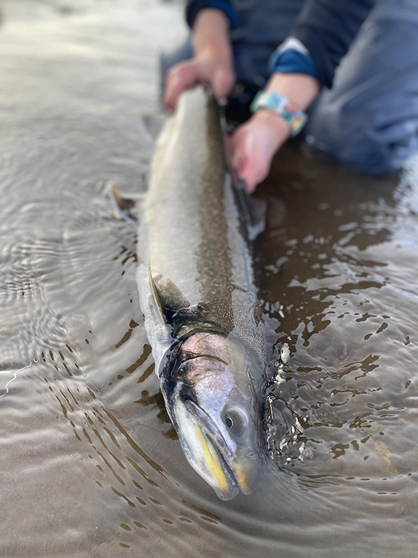 fishing in Alaska