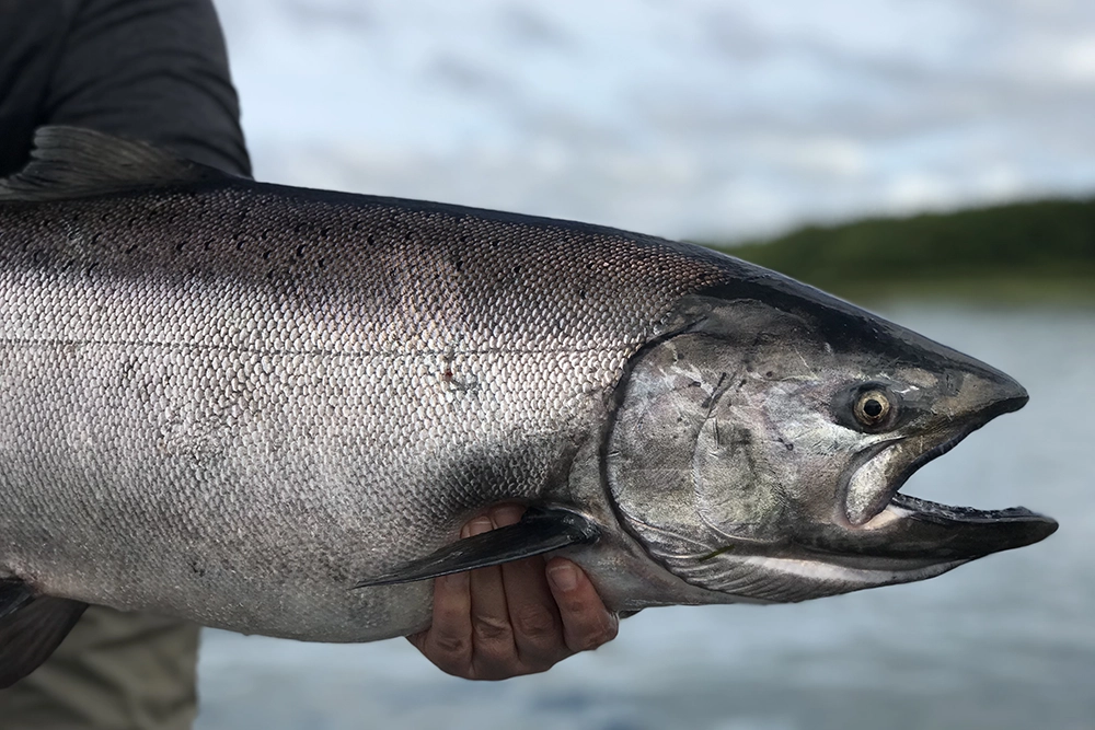 June fishing in Alaska